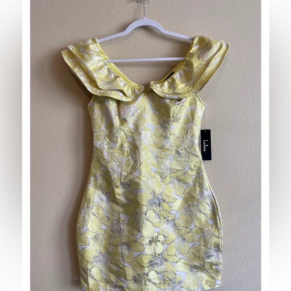 Lulu’s mini dress. Perfect condition! Never Worn!
